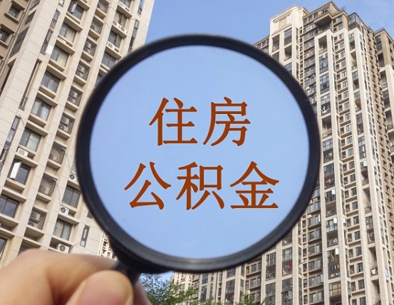 松原退休后查不到公积金明细了吗（退休后公积金查询不到原因）